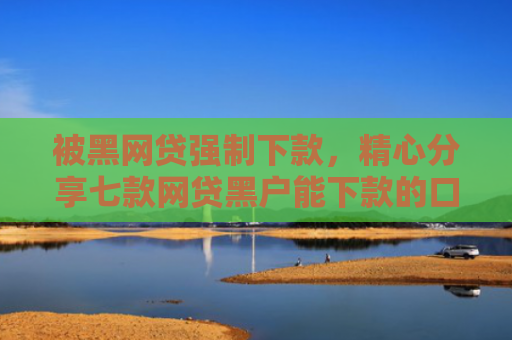 被黑网贷强制下款，精心分享七款网贷黑户能下款的口子6