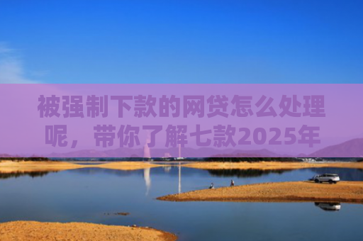 被强制下款的网贷怎么处理呢，带你了解七款2025年容易下款的网贷口子
