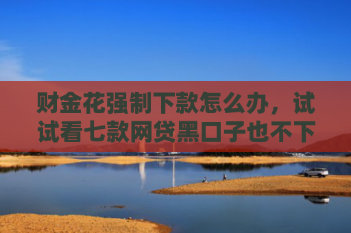 财金花强制下款怎么办，试试看七款网贷黑口子也不下款 是为什么