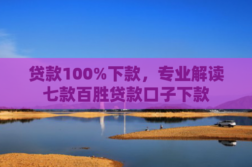 贷款100%下款，专业解读七款百胜贷款口子下款