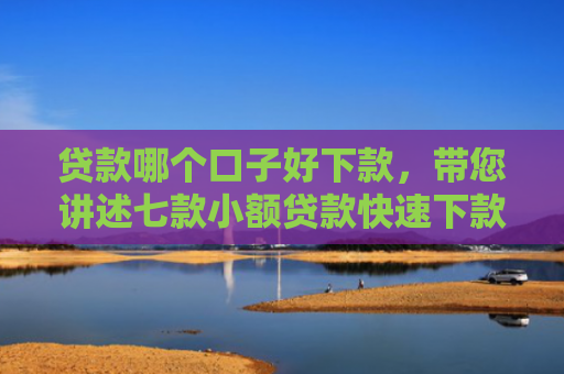 贷款哪个口子好下款，带您讲述七款小额贷款快速下款口子
