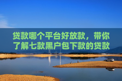 贷款哪个平台好放款，带你了解七款黑户包下款的贷款口子