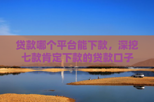 贷款哪个平台能下款，深挖七款肯定下款的贷款口子