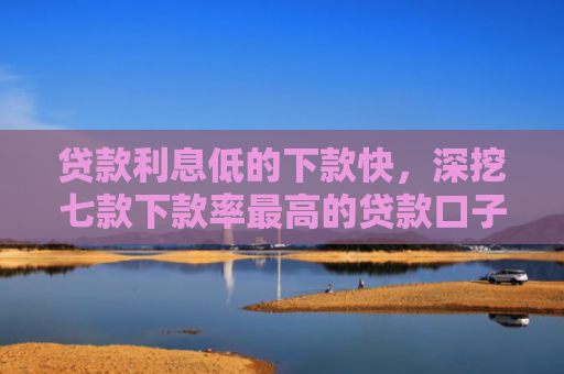 贷款利息低的下款快，深挖七款下款率最高的贷款口子