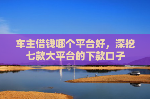车主借钱哪个平台好，深挖七款大平台的下款口子