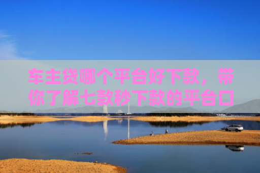 车主贷哪个平台好下款，带你了解七款秒下款的平台口子