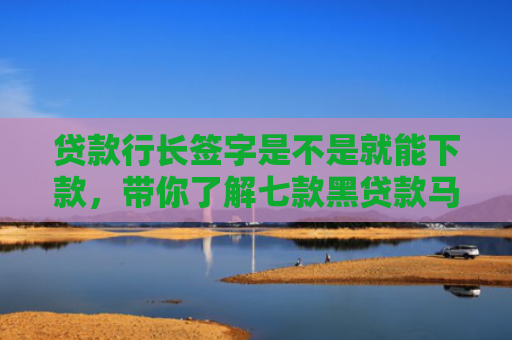 贷款行长签字是不是就能下款，带你了解七款黑贷款马上下款的口子