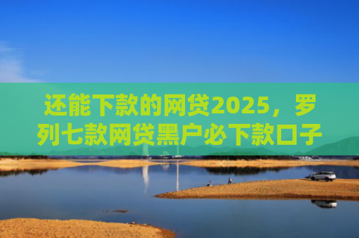 还能下款的网贷2025，罗列七款网贷黑户必下款口子