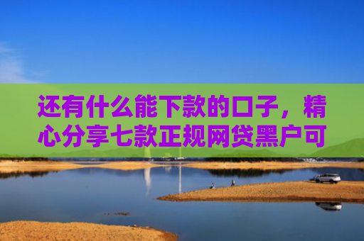 还有什么能下款的口子，精心分享七款正规网贷黑户可下款