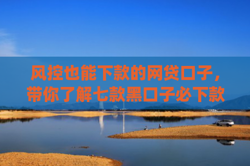 风控也能下款的网贷口子，带你了解七款黑口子必下款app2025的放款条件