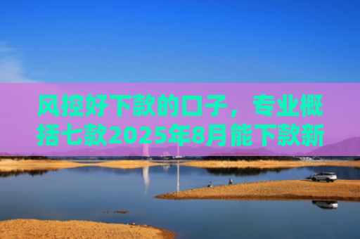 风控好下款的口子，专业概括七款2025年8月能下款新口子APP