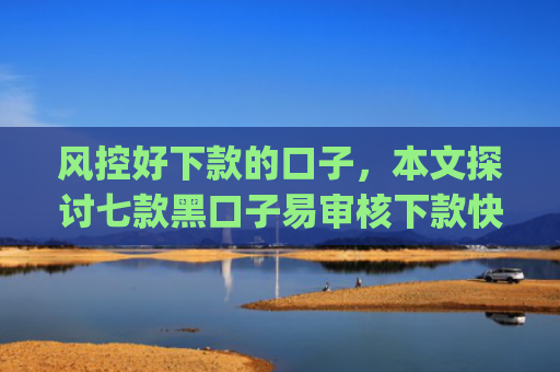 风控好下款的口子，本文探讨七款黑口子易审核下款快的app