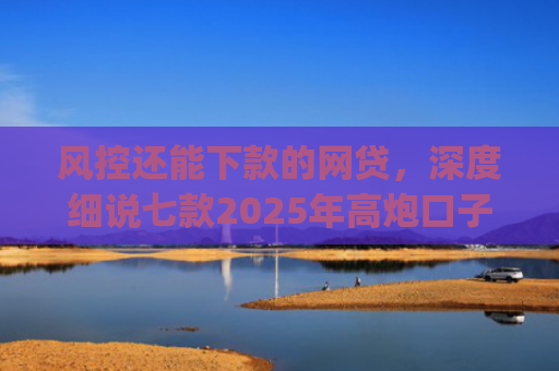 风控还能下款的网贷，深度细说七款2025年高炮口子秒下款app