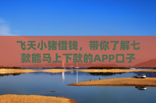 飞天小猪借钱，带你了解七款能马上下款的APP口子