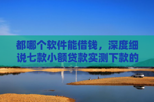 都哪个软件能借钱，深度细说七款小额贷款实测下款的口子
