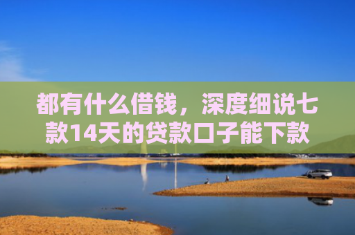 都有什么借钱，深度细说七款14天的贷款口子能下款吗