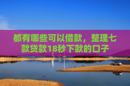 都有哪些可以借款，整理七款贷款18秒下款的口子