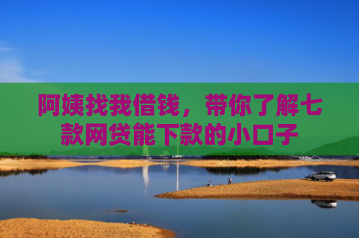 阿姨找我借钱，带你了解七款网贷能下款的小口子