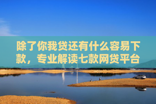 除了你我贷还有什么容易下款，专业解读七款网贷平台好下款的口子