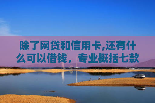 除了网贷和信用卡,还有什么可以借钱，专业概括七款黑口子必下款返佣平台