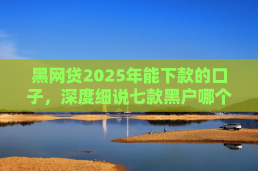 黑网贷2025年能下款的口子，深度细说七款黑户哪个网贷最容易下款