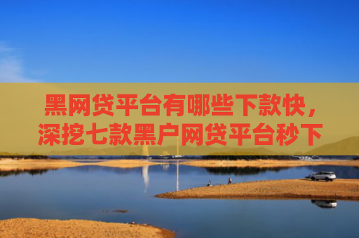 黑网贷平台有哪些下款快，深挖七款黑户网贷平台秒下款评论