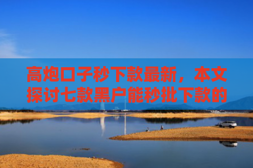 高炮口子秒下款最新，本文探讨七款黑户能秒批下款的网贷