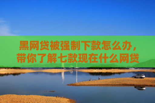 黑网贷被强制下款怎么办，带你了解七款现在什么网贷黑户能下款