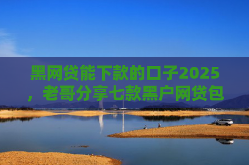黑网贷能下款的口子2025，老哥分享七款黑户网贷包下款大口子
