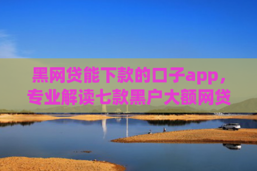 黑网贷能下款的口子app，专业解读七款黑户大额网贷当天下款
