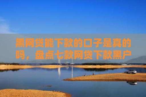 黑网贷能下款的口子是真的吗，盘点七款网贷下款黑户口子苹果