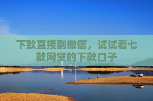 下款直接到微信，试试看七款网贷的下款口子