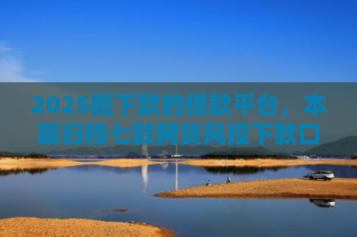 2025能下款的借款平台，本篇归档七款网贷风控下款口子