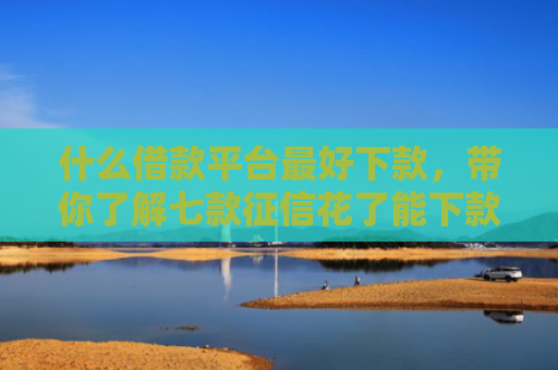 什么借款平台最好下款，带你了解七款征信花了能下款的贷款