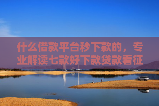 什么借款平台秒下款的，专业解读七款好下款贷款看征信嘛