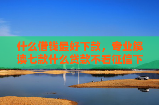 什么借钱最好下款，专业解读七款什么贷款不看征信下款快