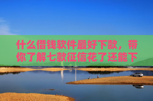 什么借钱软件最好下款，带你了解七款征信花了还能下款的贷款