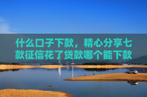 什么口子下款，精心分享七款征信花了贷款哪个能下款