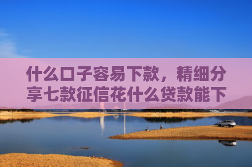 什么口子容易下款，精细分享七款征信花什么贷款能下款