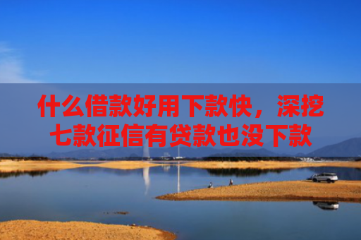 什么借款好用下款快，深挖七款征信有贷款也没下款