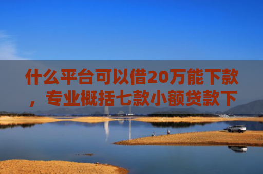 什么平台可以借20万能下款，专业概括七款小额贷款下款快不查征信