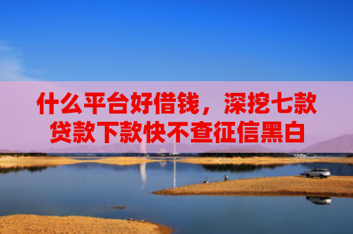 什么平台好借钱，深挖七款贷款下款快不查征信黑白