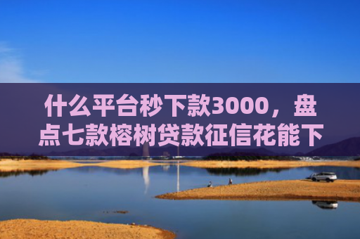 什么平台秒下款3000，盘点七款榕树贷款征信花能下款吗
