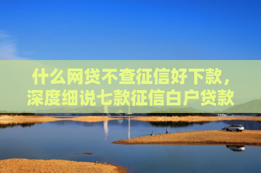 什么网贷不查征信好下款，深度细说七款征信白户贷款容易下款吗