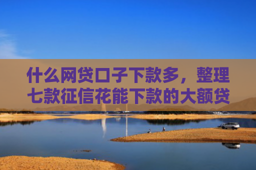 什么网贷口子下款多，整理七款征信花能下款的大额贷款