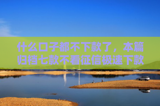什么口子都不下款了，本篇归档七款不看征信极速下款的贷款