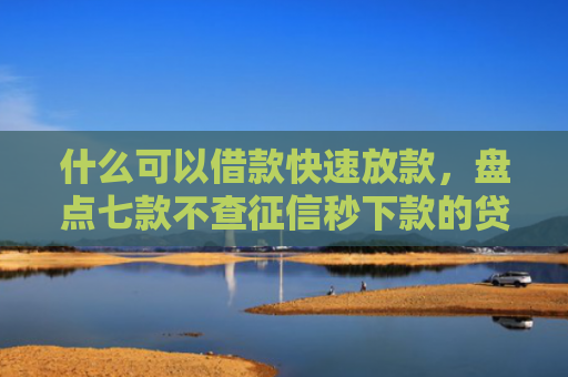 什么可以借款快速放款，盘点七款不查征信秒下款的贷款