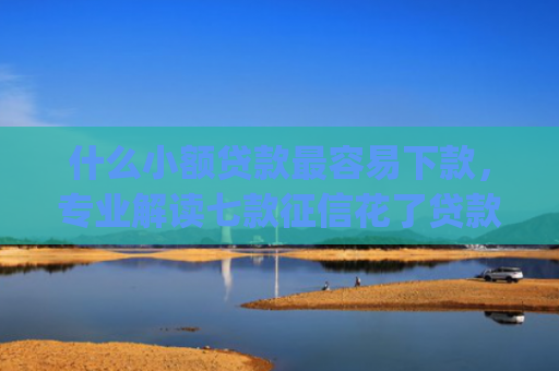 什么小额贷款最容易下款，专业解读七款征信花了贷款好下款的app
