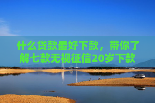 什么贷款最好下款，带你了解七款无视征信20岁下款贷款