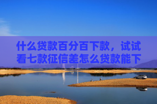 什么贷款百分百下款，试试看七款征信差怎么贷款能下款